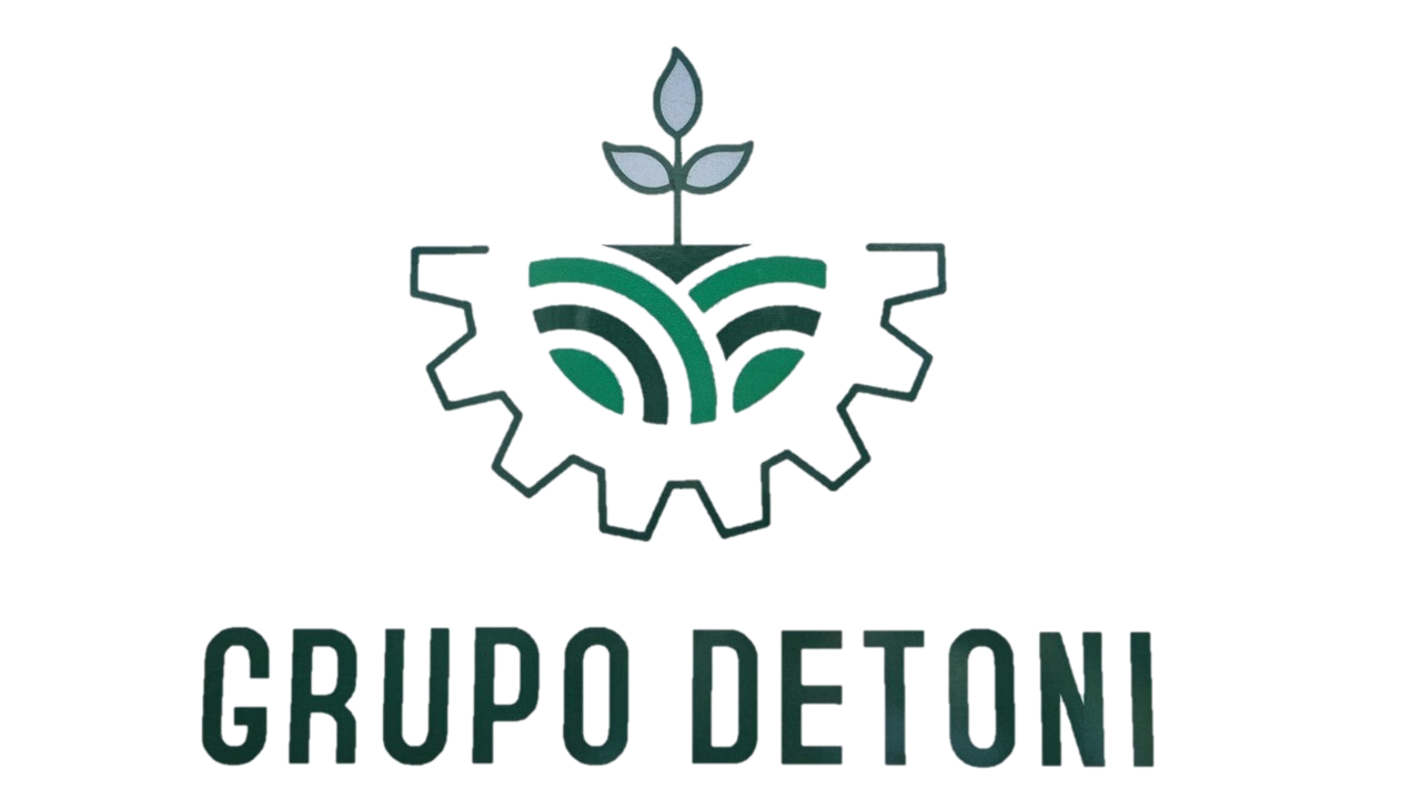Logo Grupo Detoni